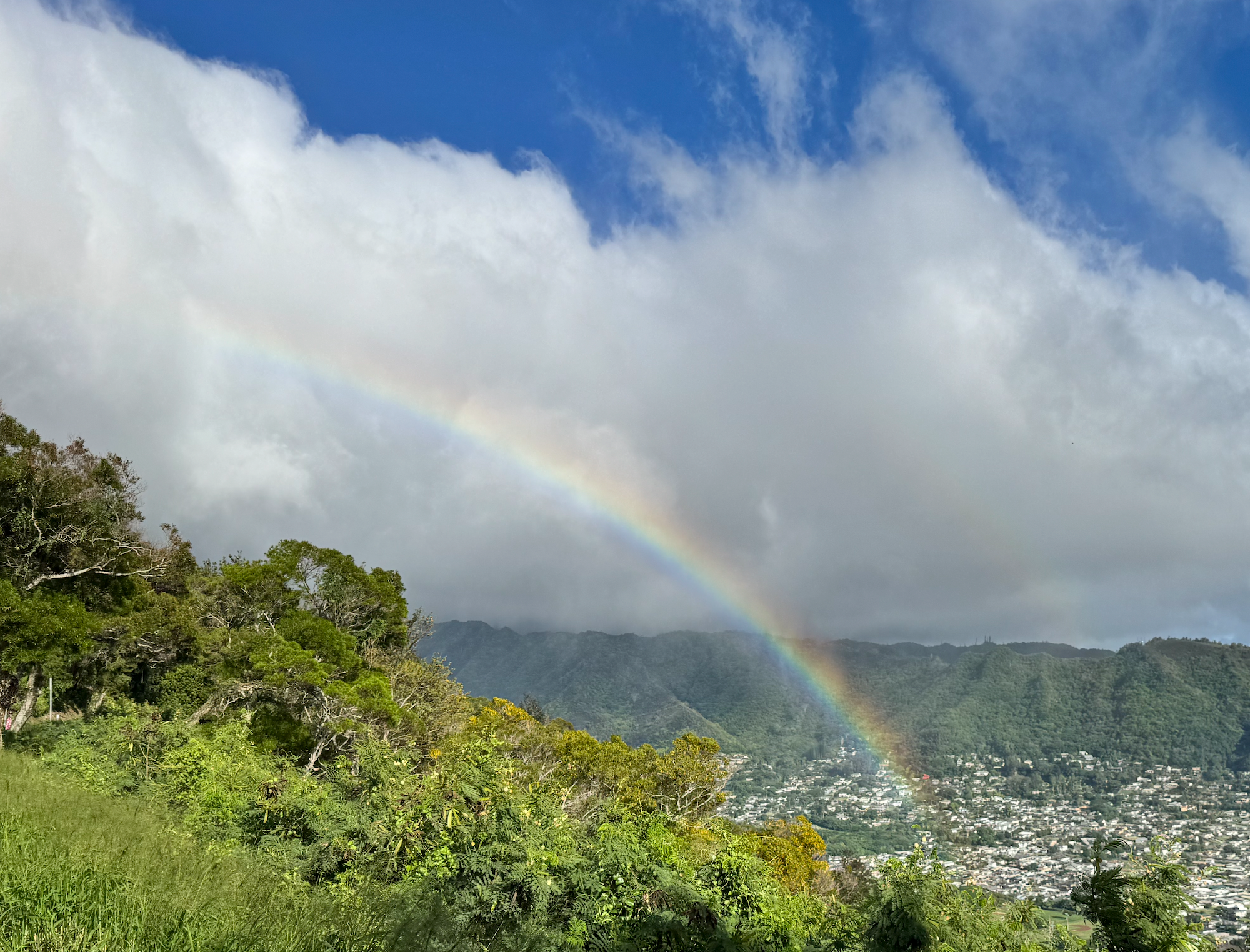 A Goal for This Year