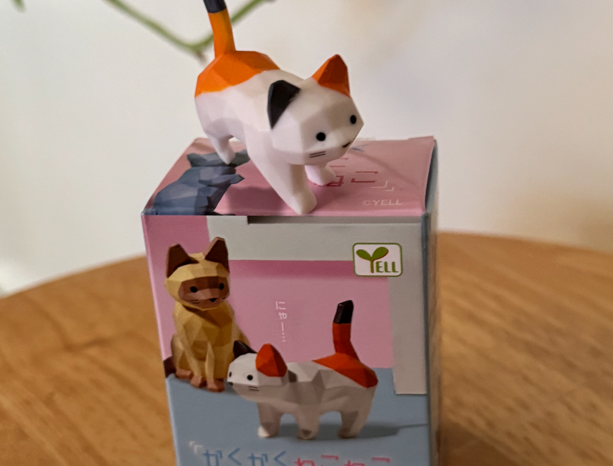 Cat Blind Box