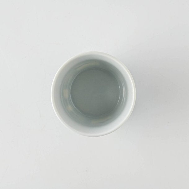 Edokko Dinosaur Biplane Dinosaur Soba Cup