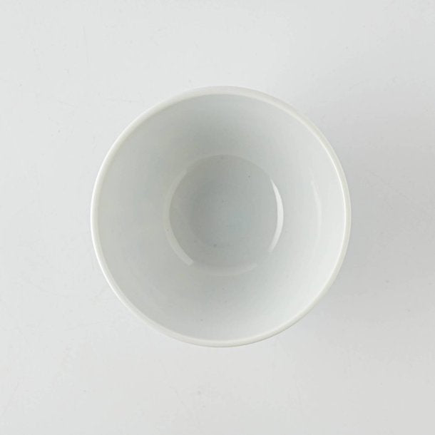 Edokko Dinosaur Biplane Dinosaur Rice Bowl