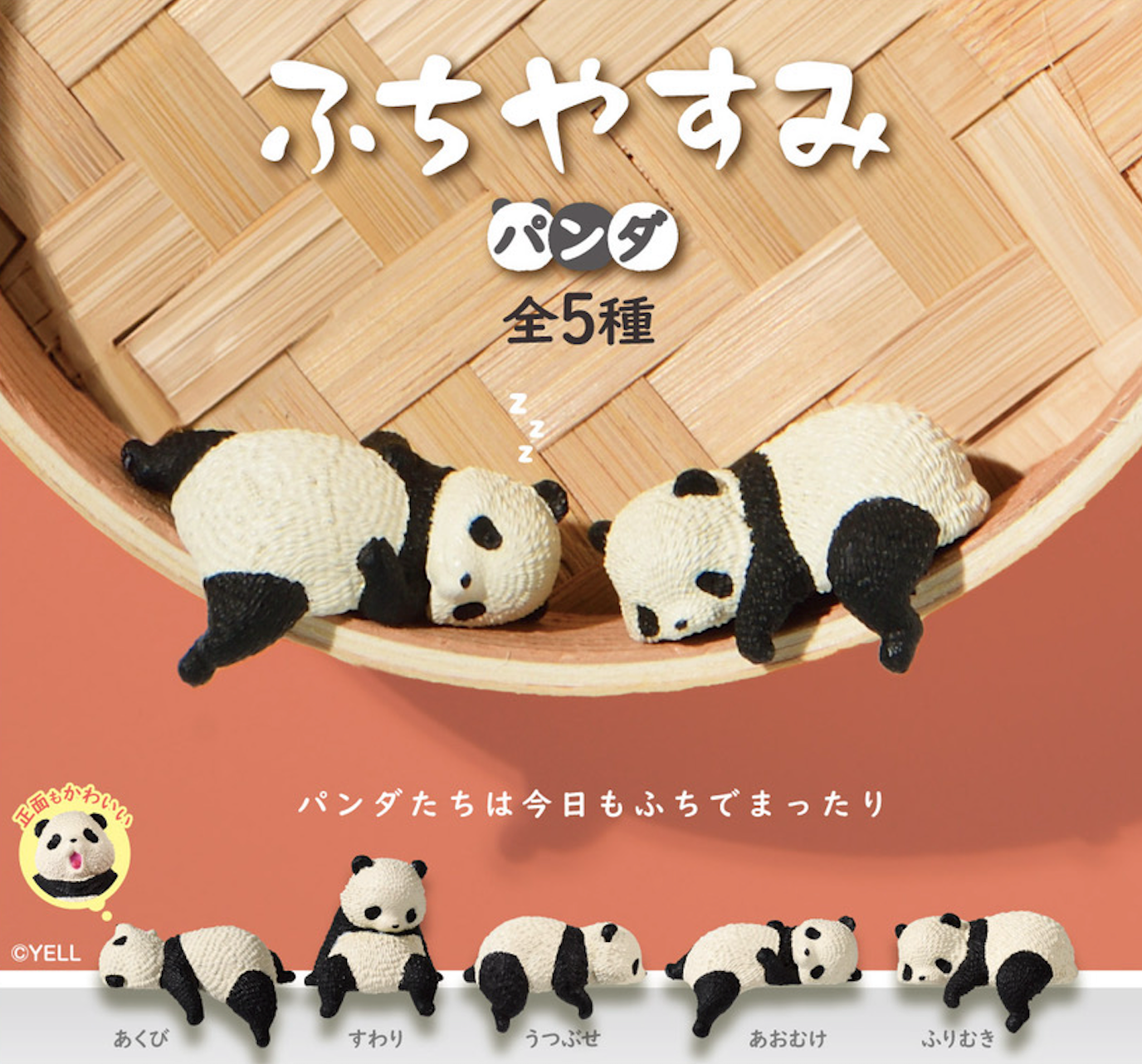 Blind Box Resting Panda (10 per box)