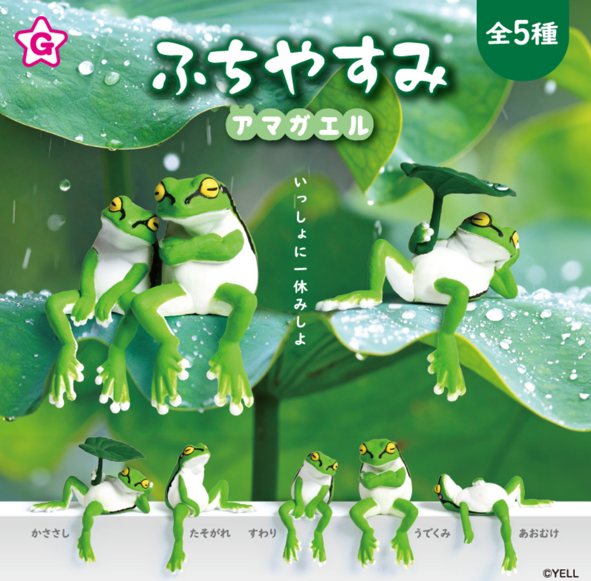 Blind Box Resting Frog