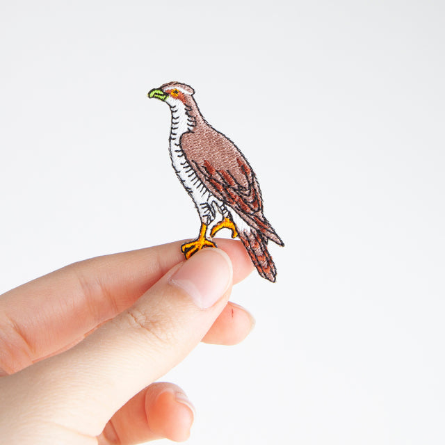 Iron-on Patch Bird Goshawk