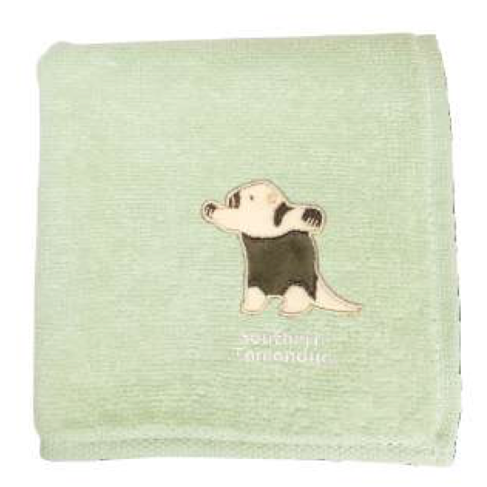 Small Hand Towel Southern Tamandua