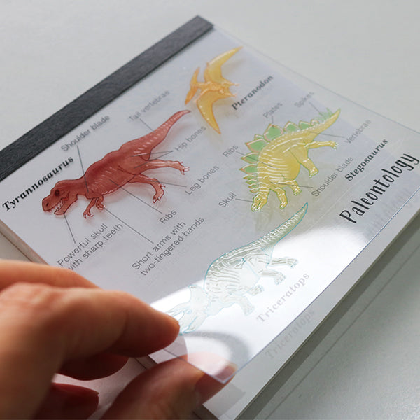 Memo Pad Paleontology