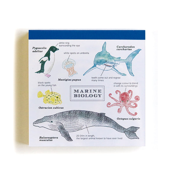 Memo Pad Marine Biology