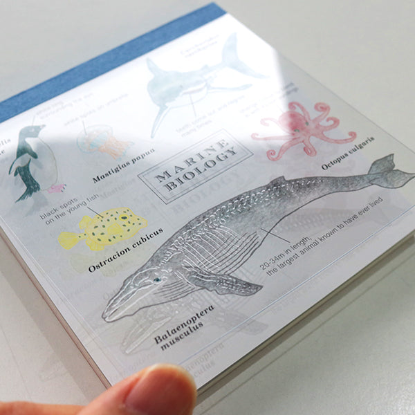 Memo Pad Marine Biology