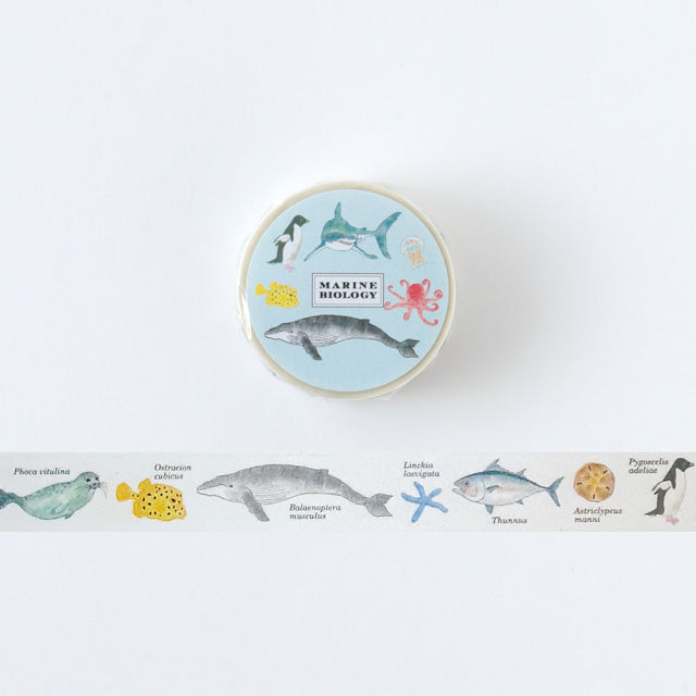 Masking Tape Marine Biology