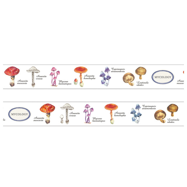 Masking Tape Mycology