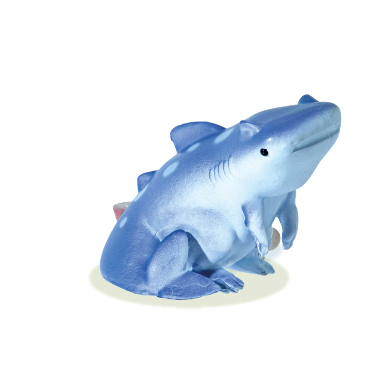 Blind Box Jurassic Shark