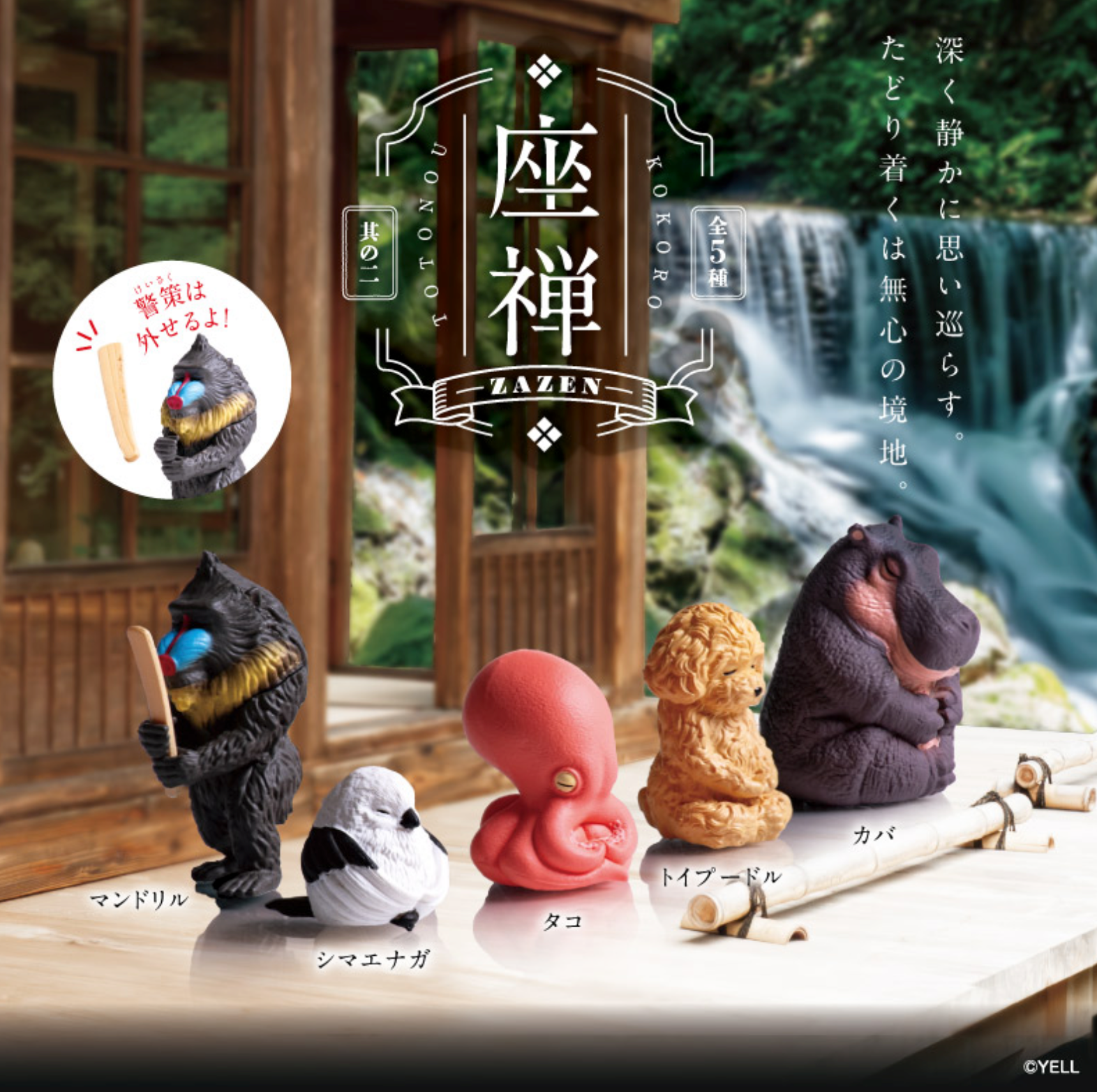 [NEW] Blind Box Zazen 2 (10 per box)