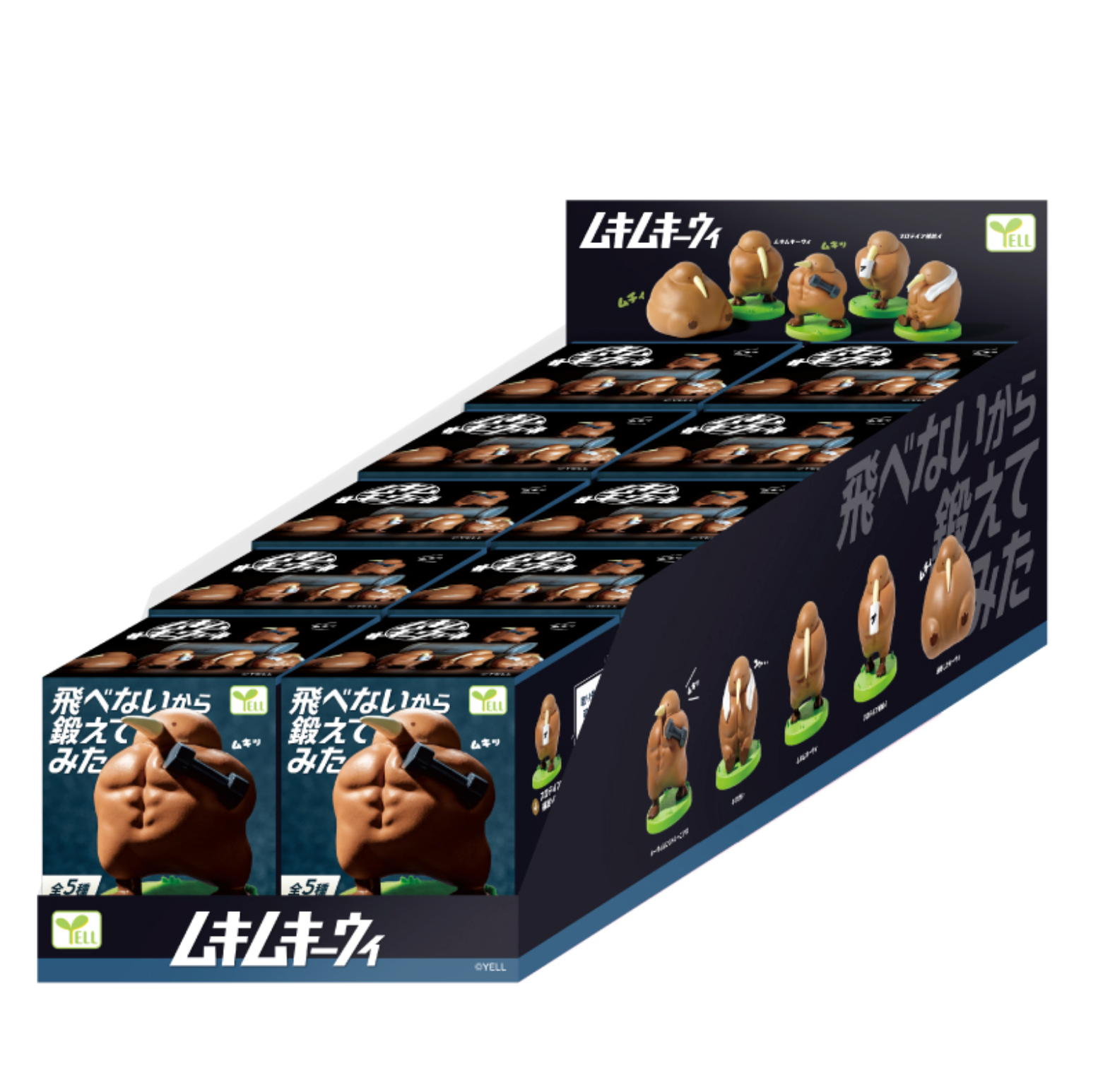 [NEW!] Blind Box Mukimuki Kiwi (10 per box)