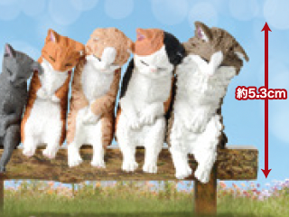 [NEW!] Blind Box Sleep Together Cat (10 per box)