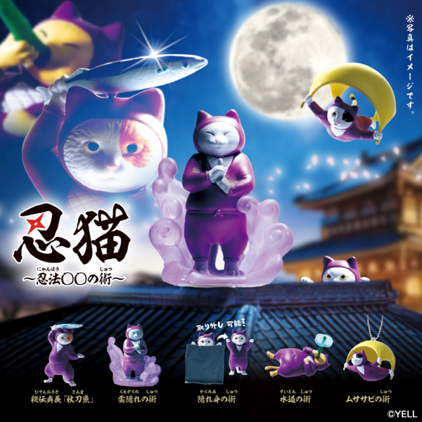 Blind Box Ninja Cat (10 per box)