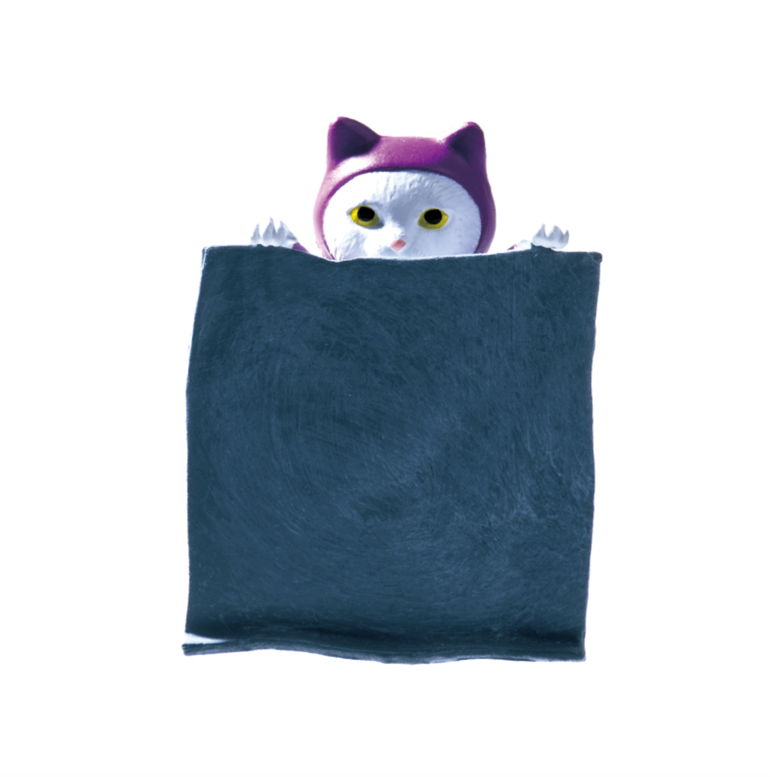 [NEW] Blind Box Ninja Cat (10 per box)