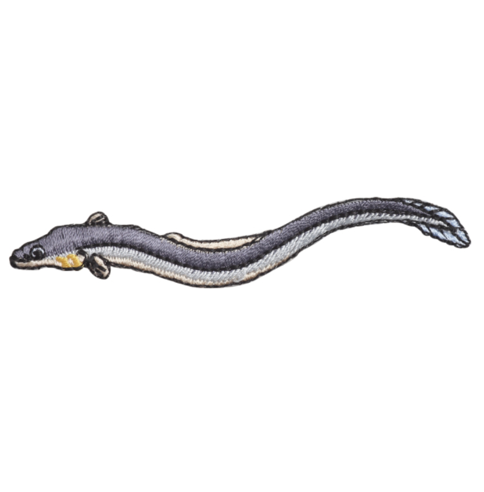 Iron-on Patch Ocean Eel