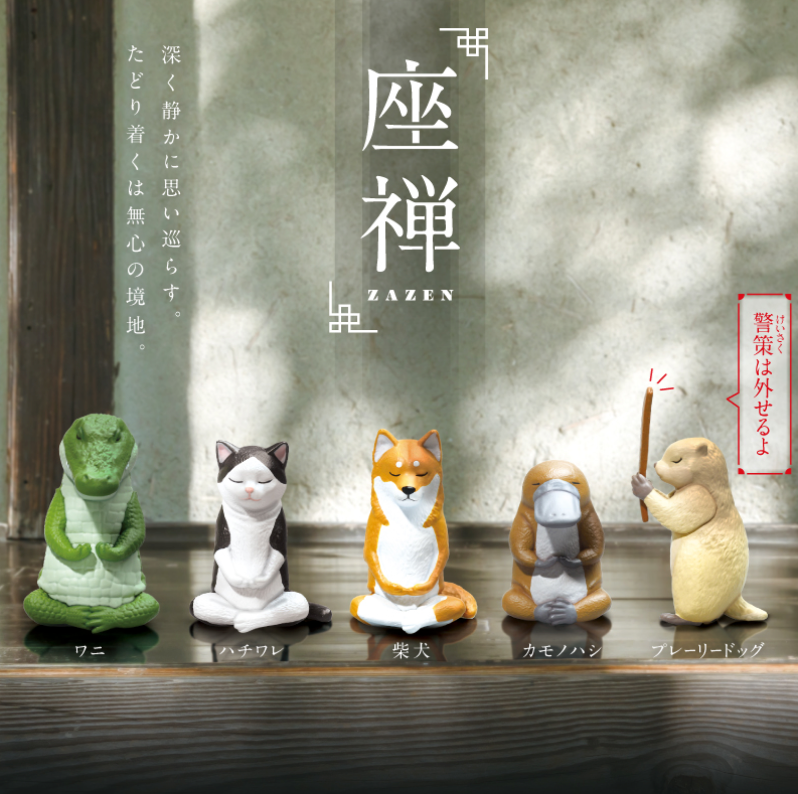 Blind Box Zazen