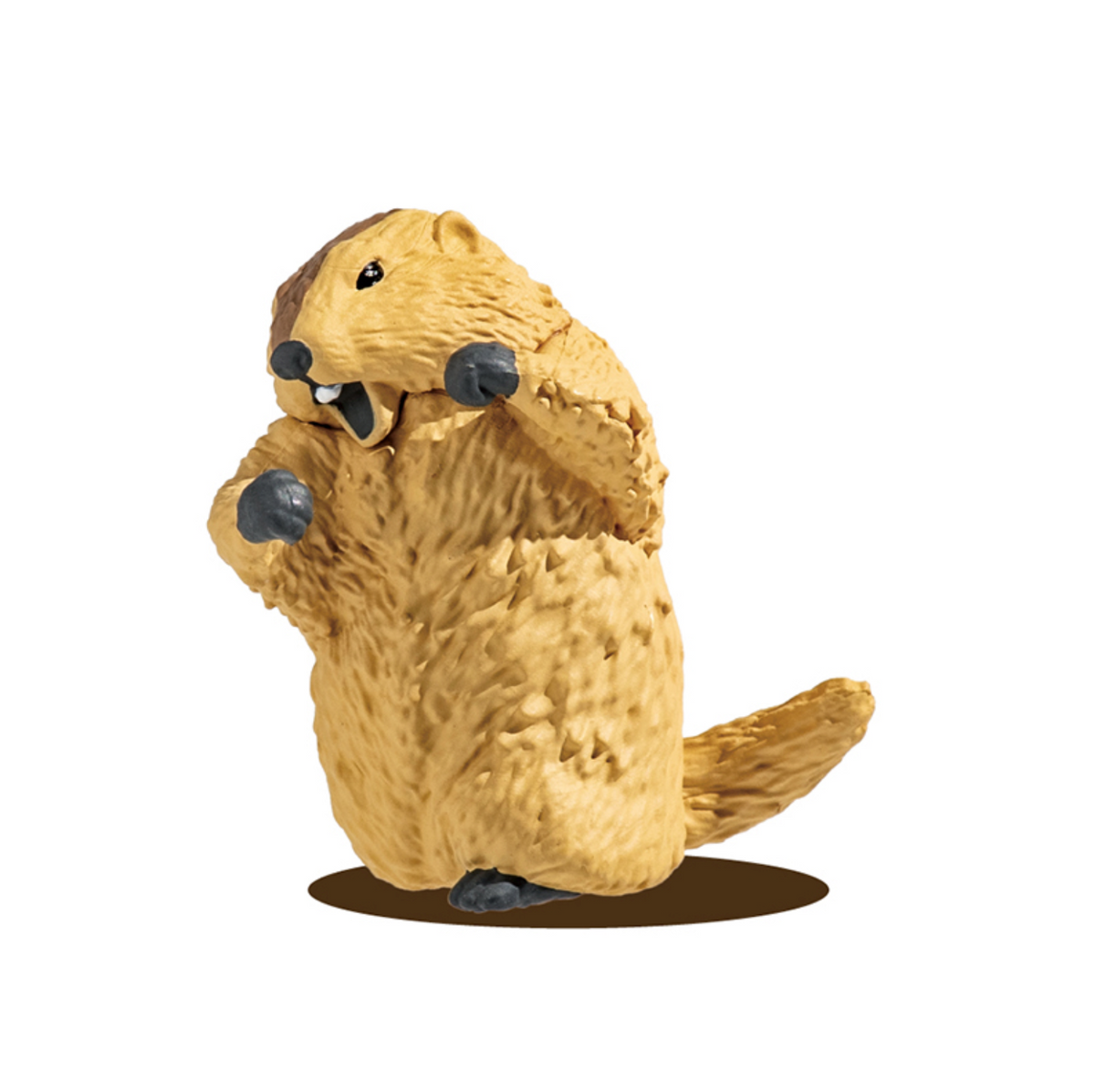 Blind Box Marmot Royale