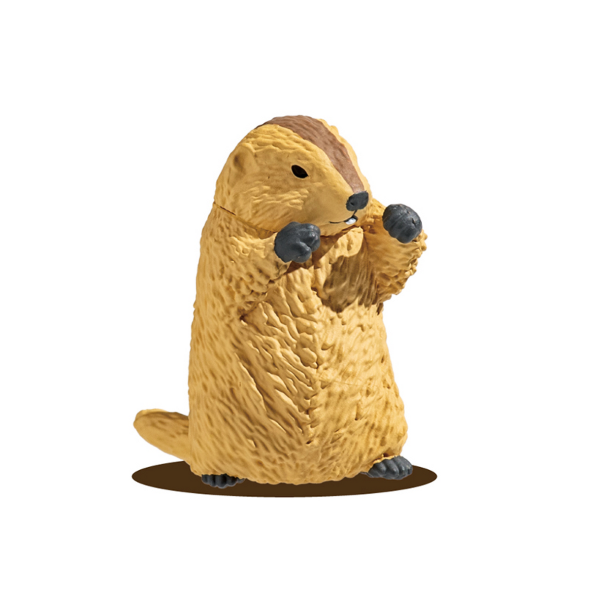 Blind Box Marmot Royale