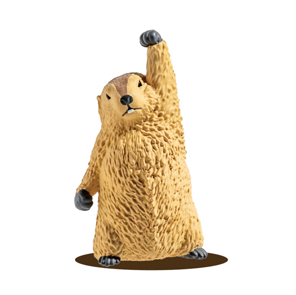 Blind Box Marmot Royale