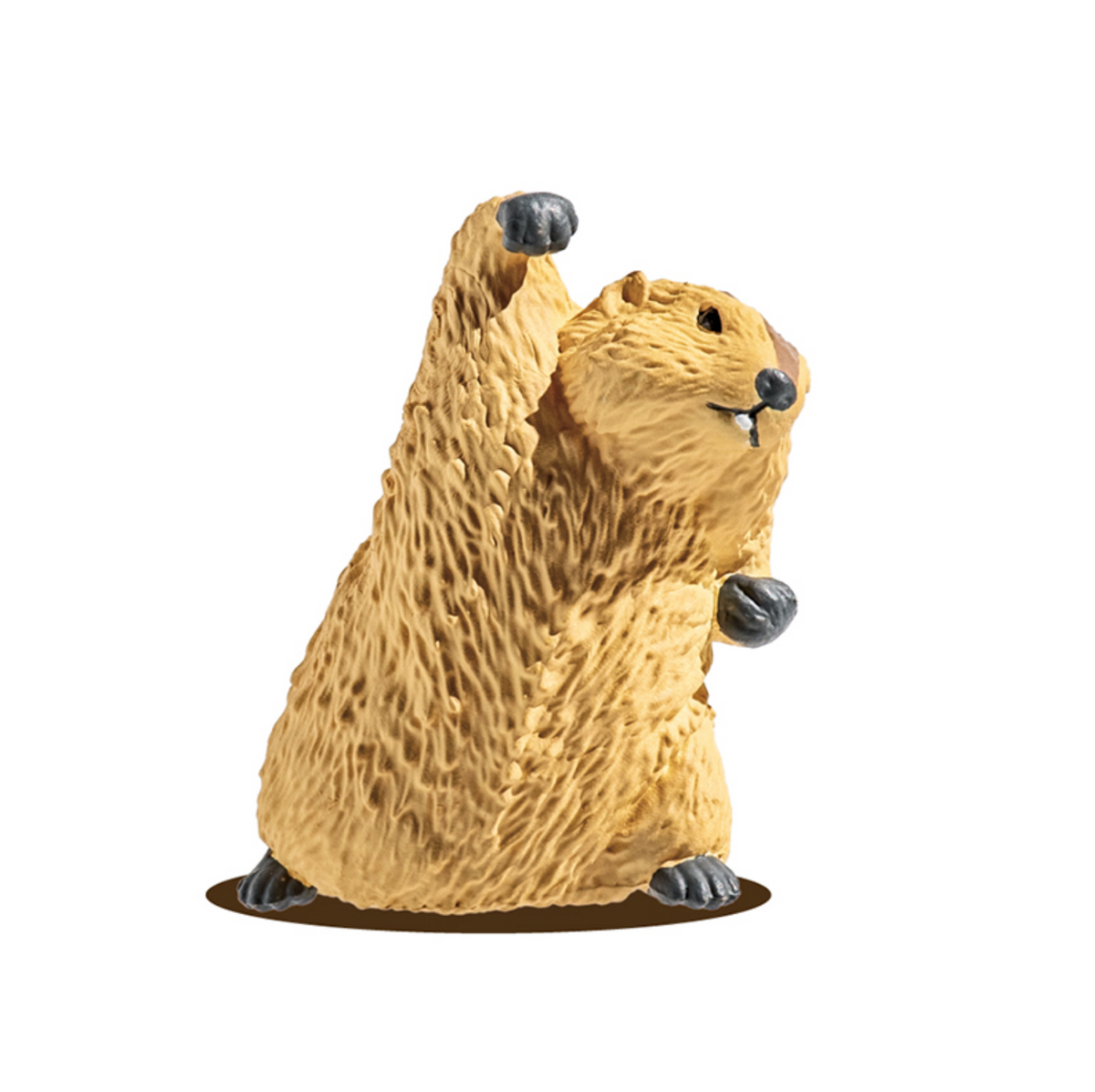 Blind Box Marmot Royale