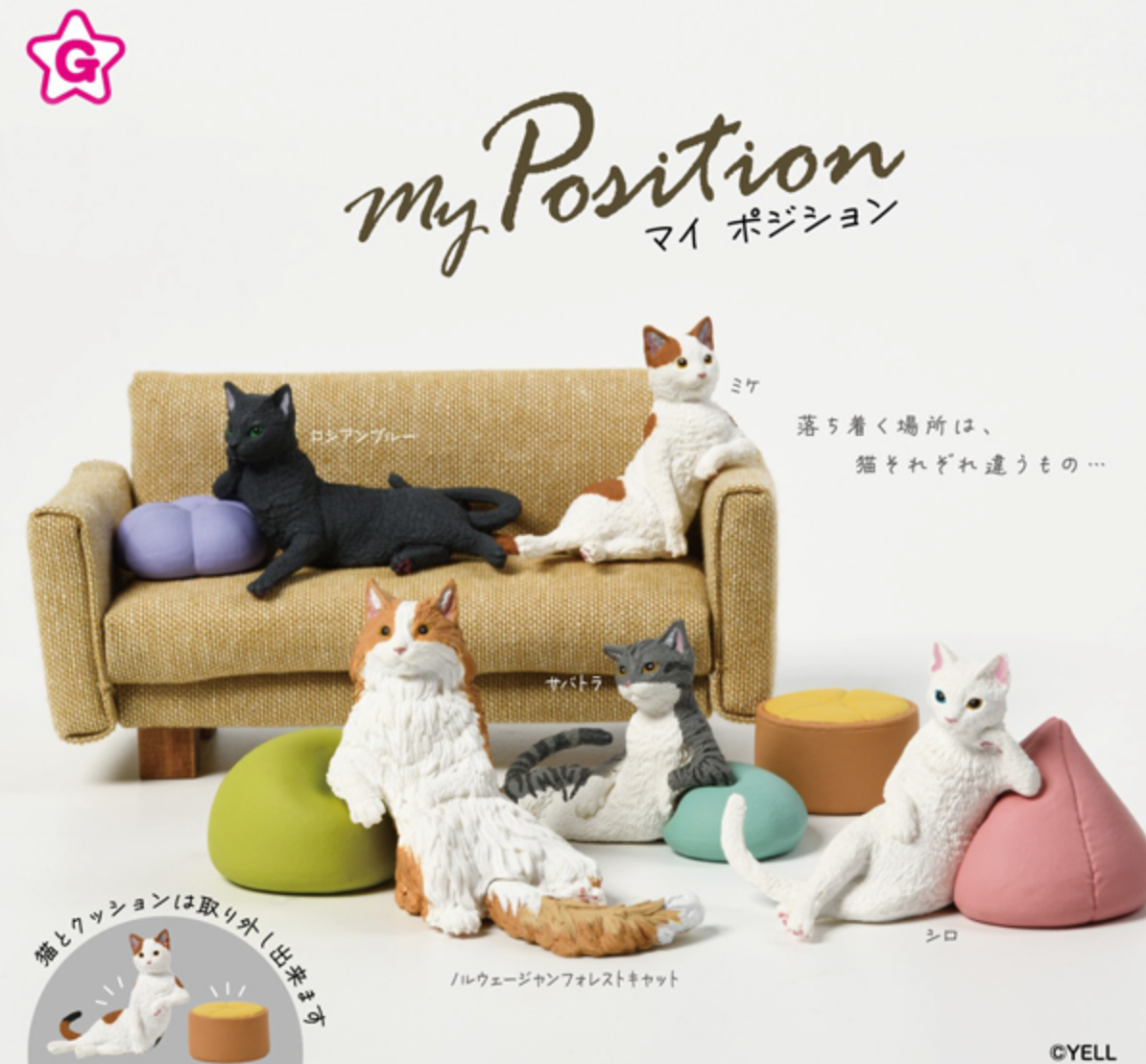 Blind Box My Position (10 per box)