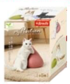 Blind Box My Position (10 per box)
