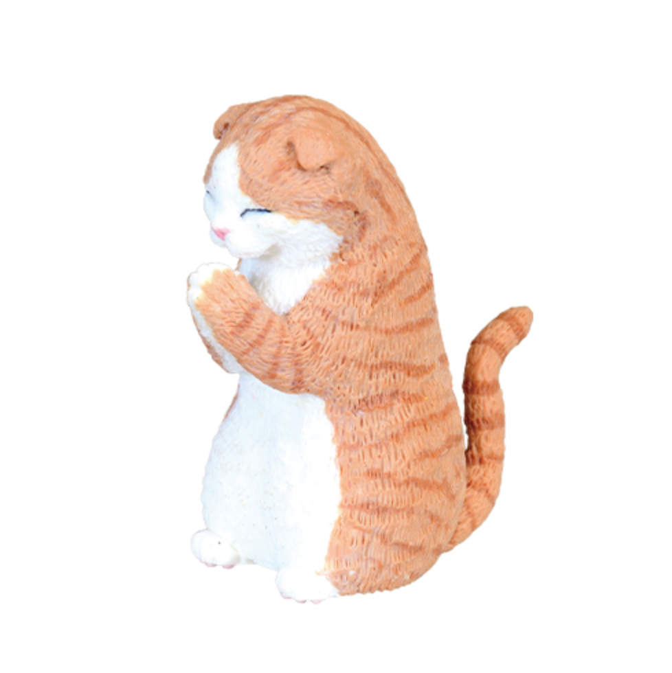 Blind Box Prayer Cat