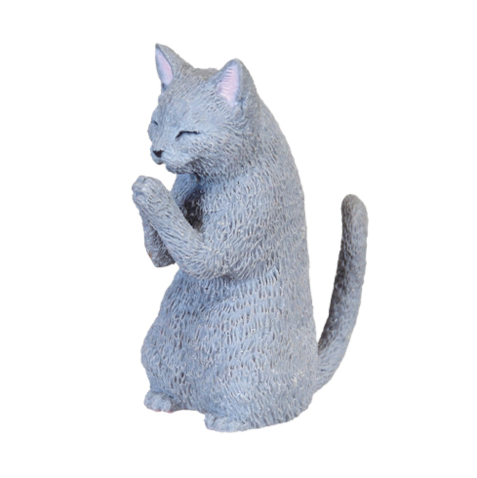 Blind Box Prayer Cat