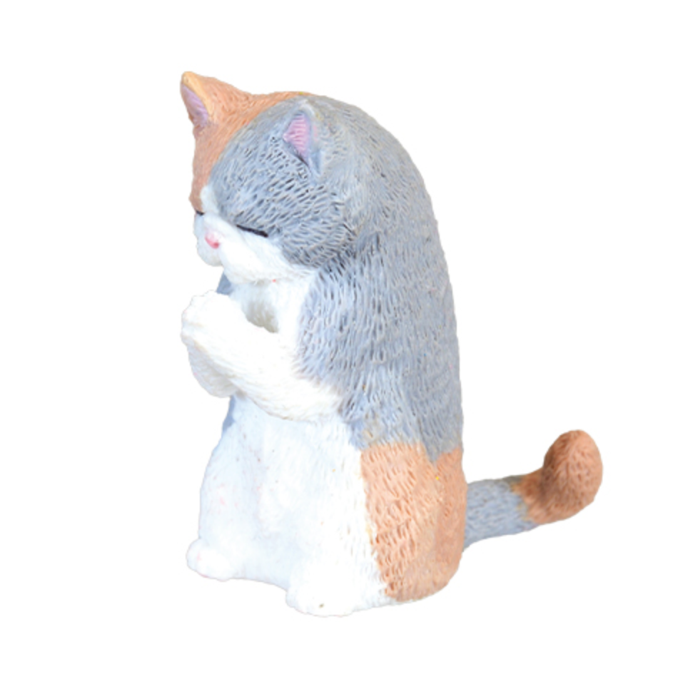 Blind Box Prayer Cat