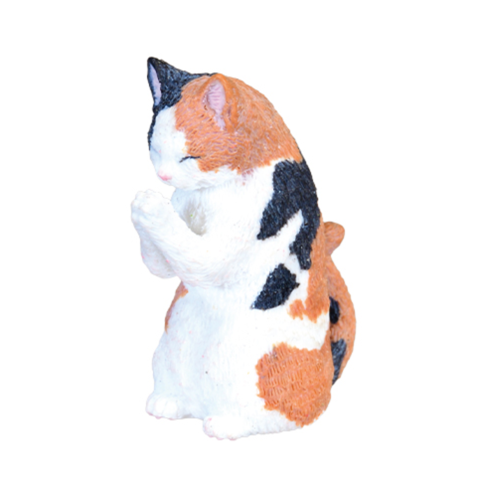 Blind Box Prayer Cat