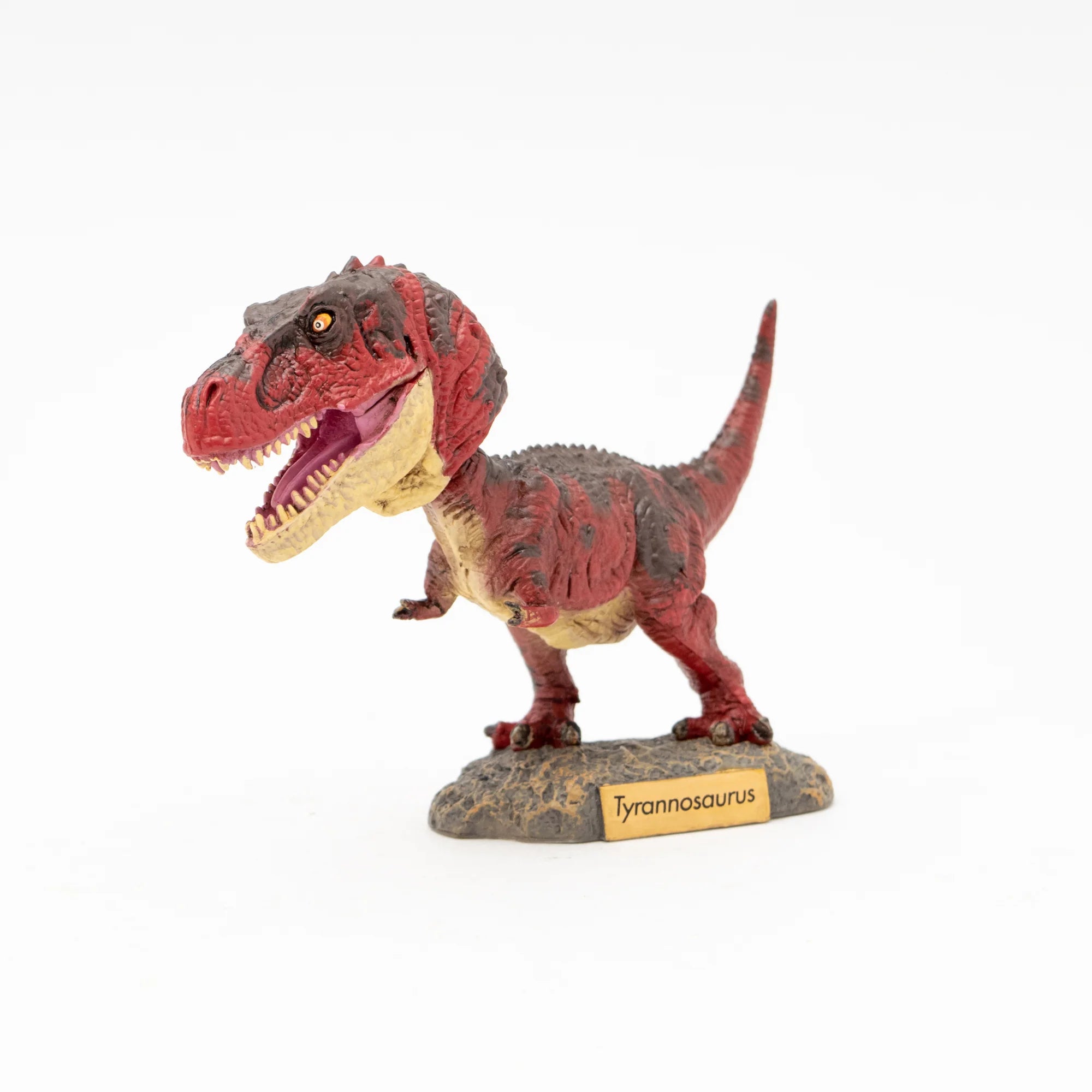 Bobble Head Tyrannosaurus