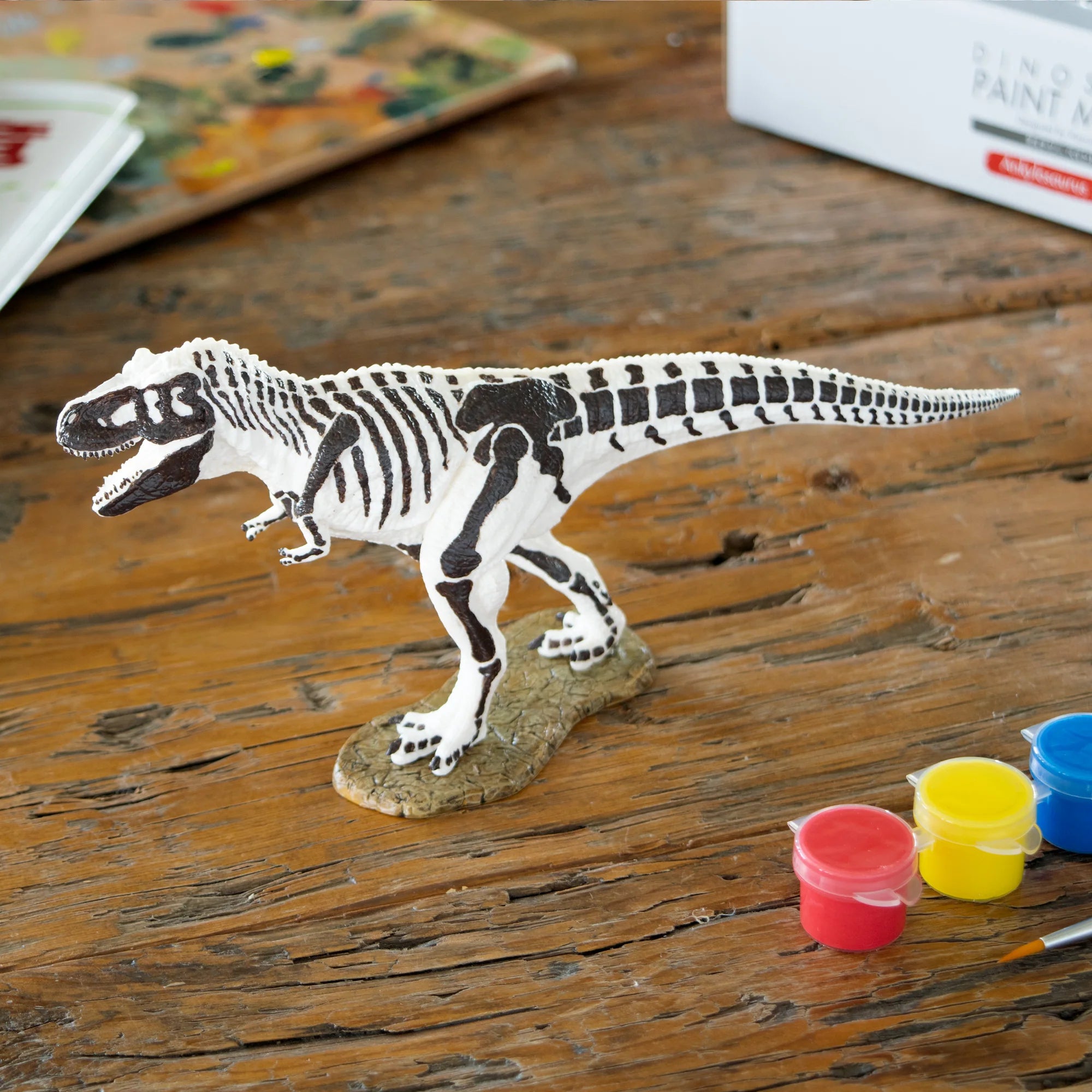 Paint Model Box Tyrannosaurus