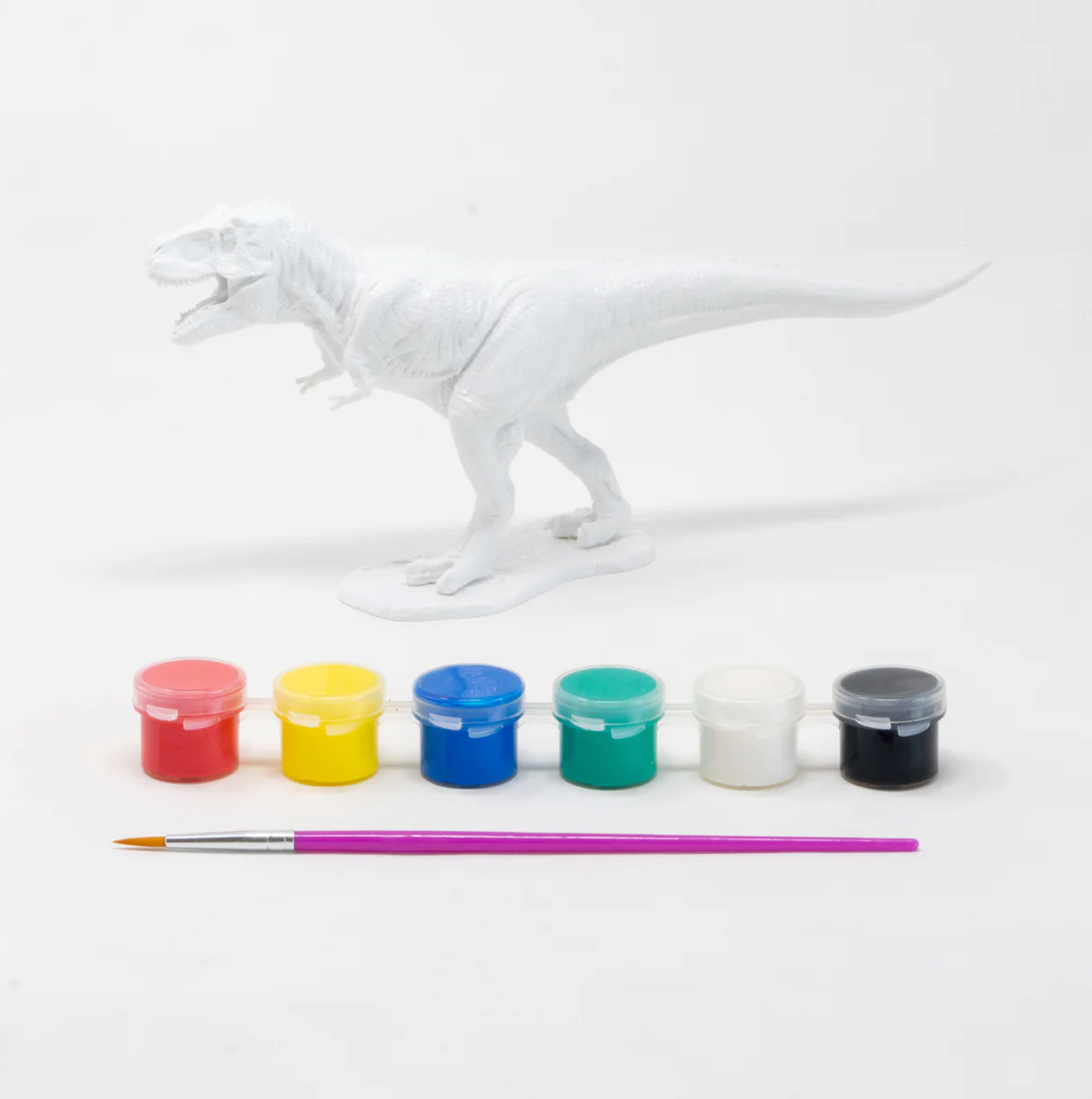 Paint Model Box Tyrannosaurus