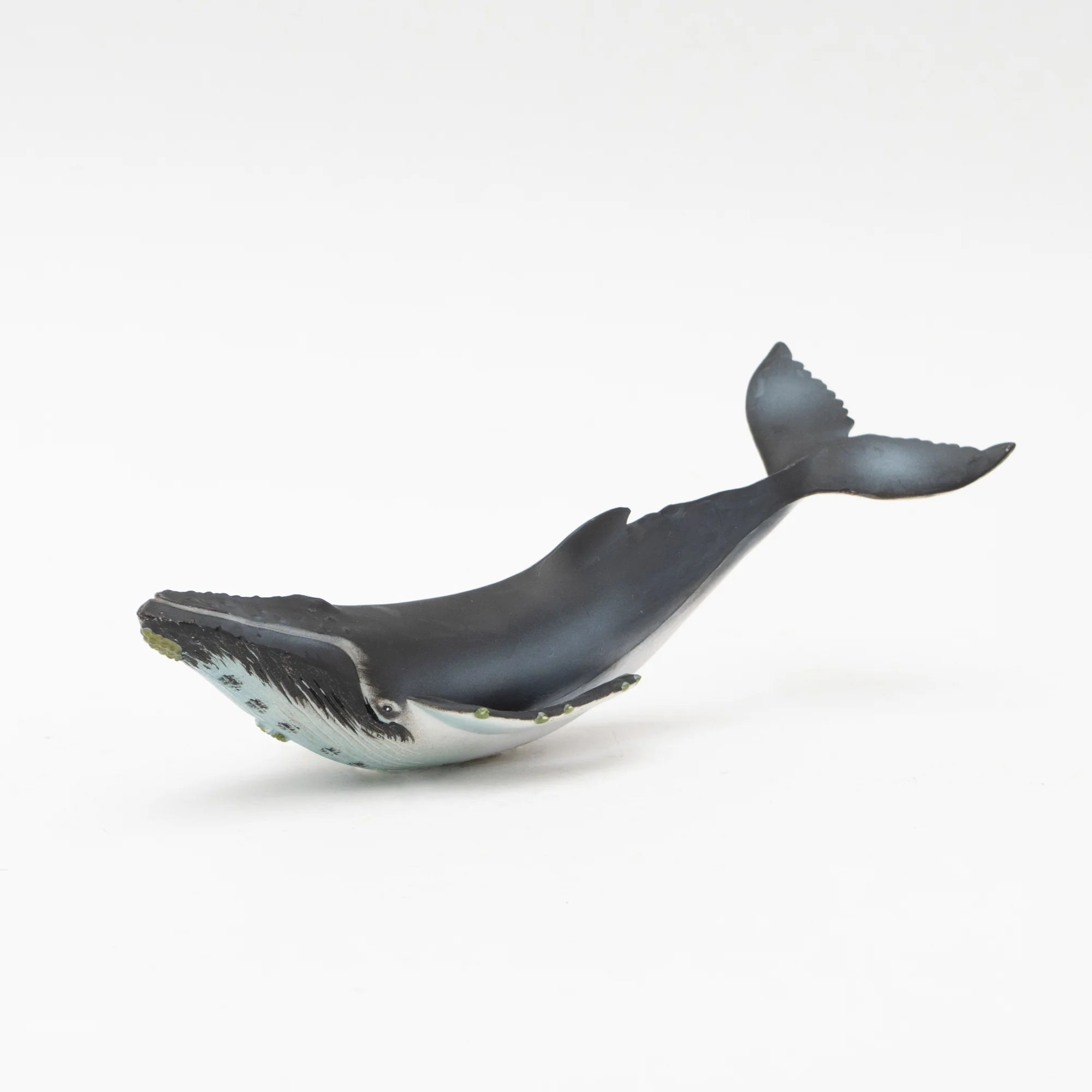 Soft Model Humpback Whale