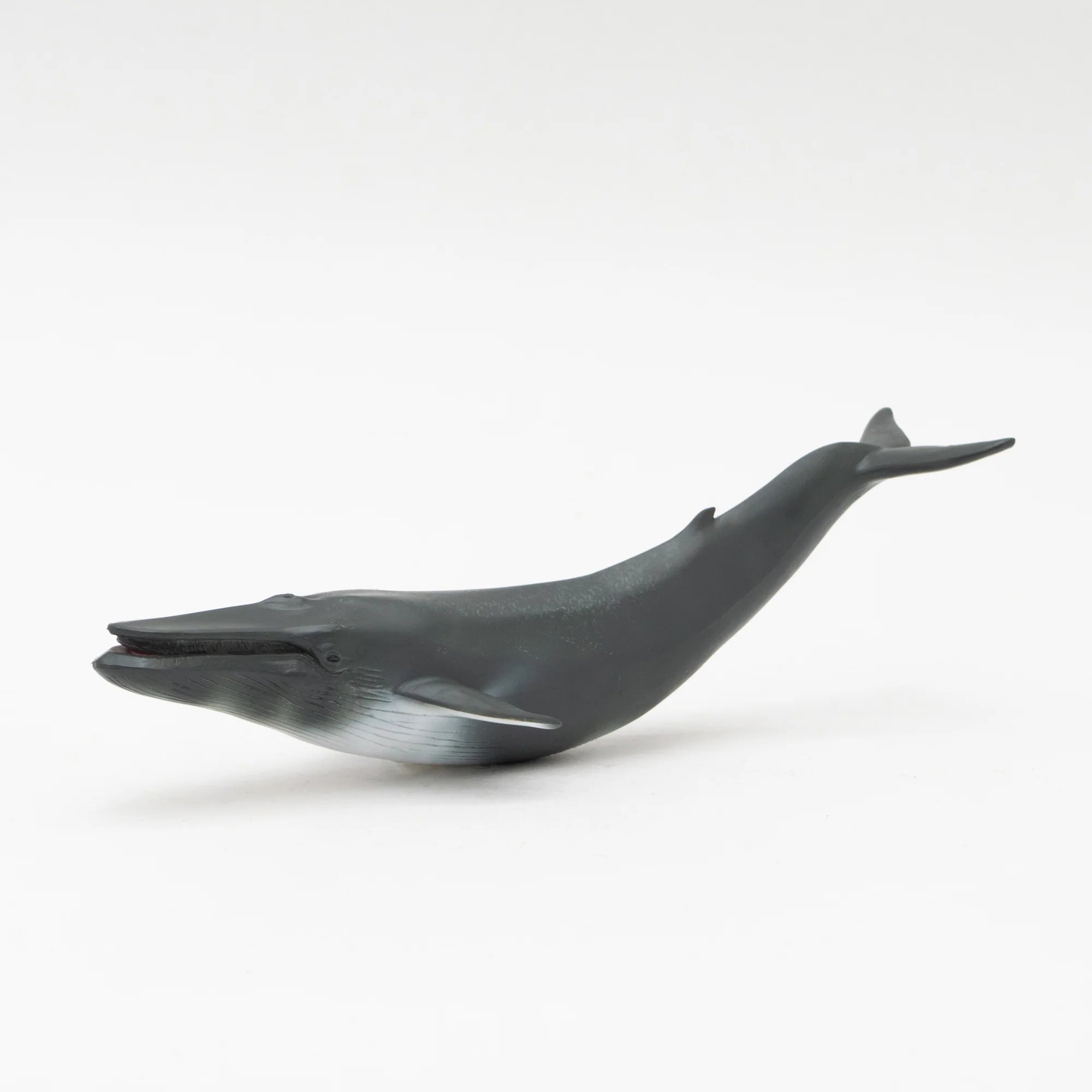 いさな=whale！ Minke Whale 12 porcelain by Lisa Asagi - KoboSeattle