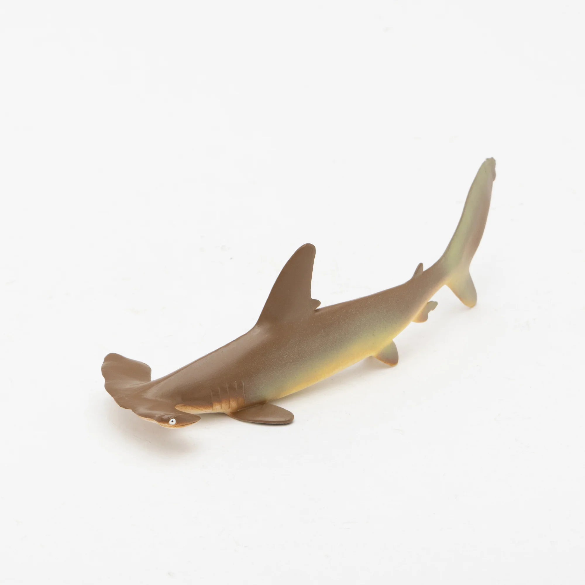 Soft Model Scalloped Hammerhead