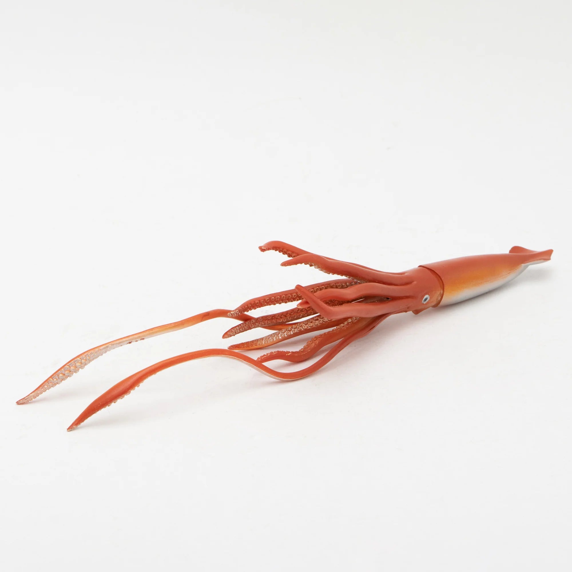 Soft Model Giant Squid