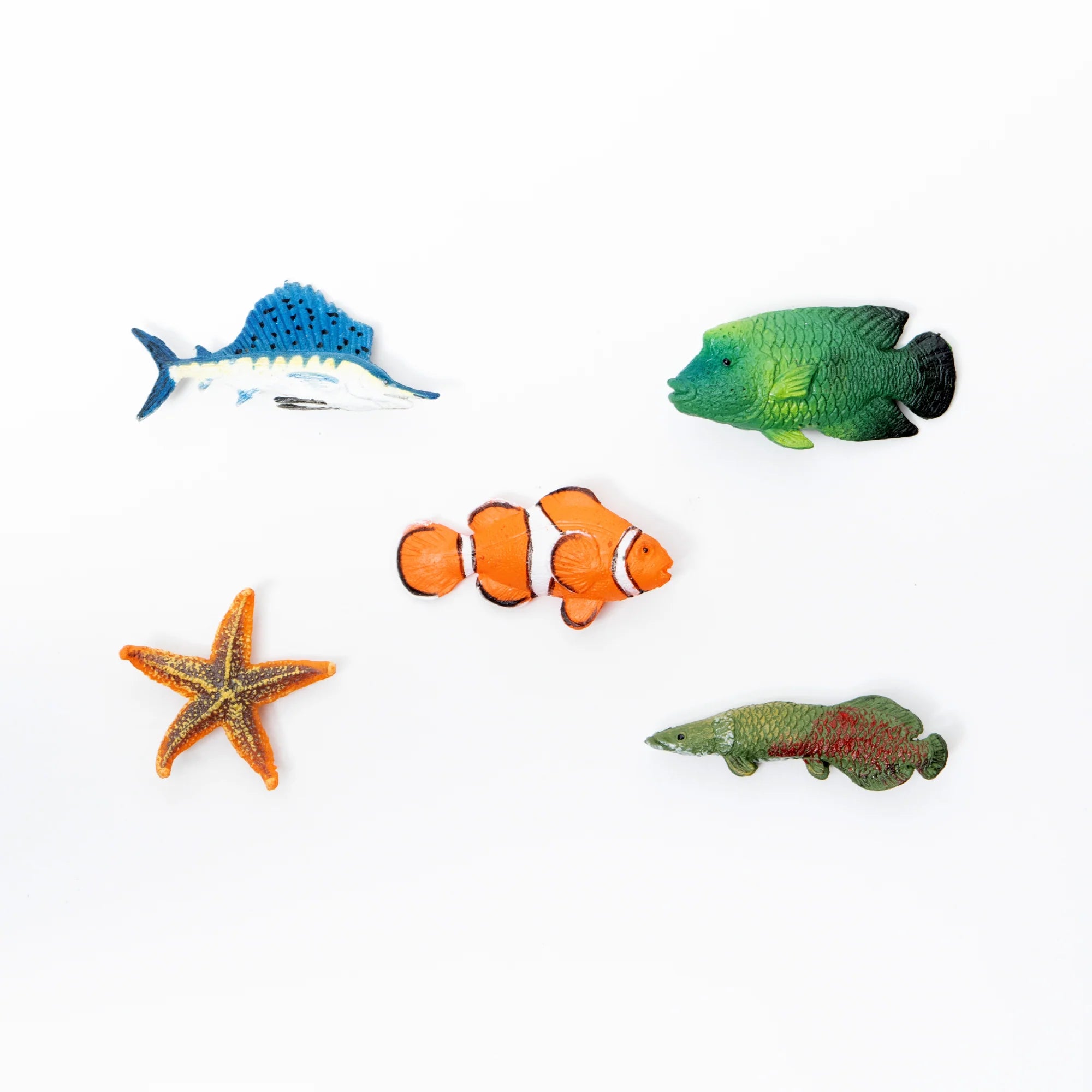 Magnet Fish Set B