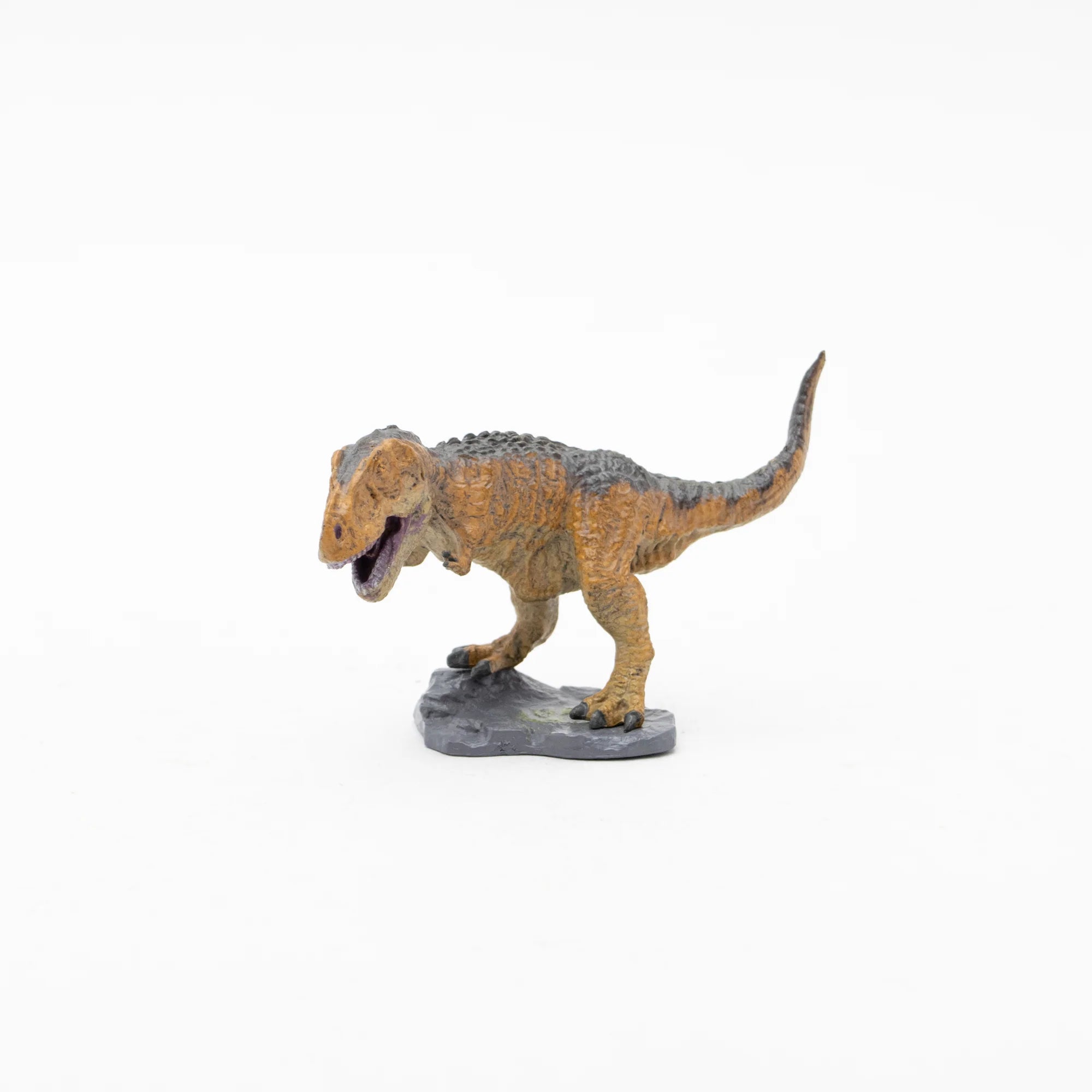 Mini Model Tyrannosaurus