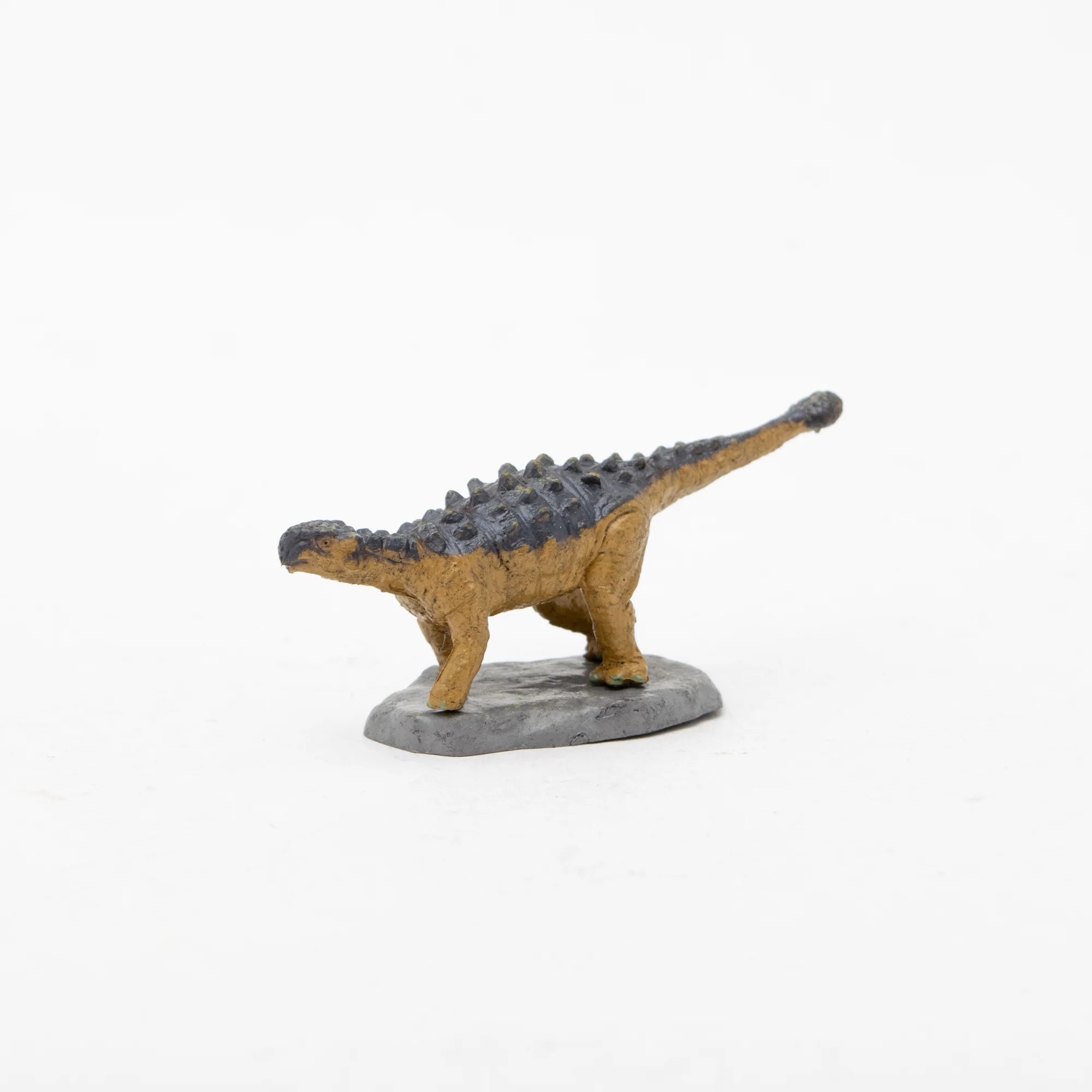 Mini Model Ankylosaurus