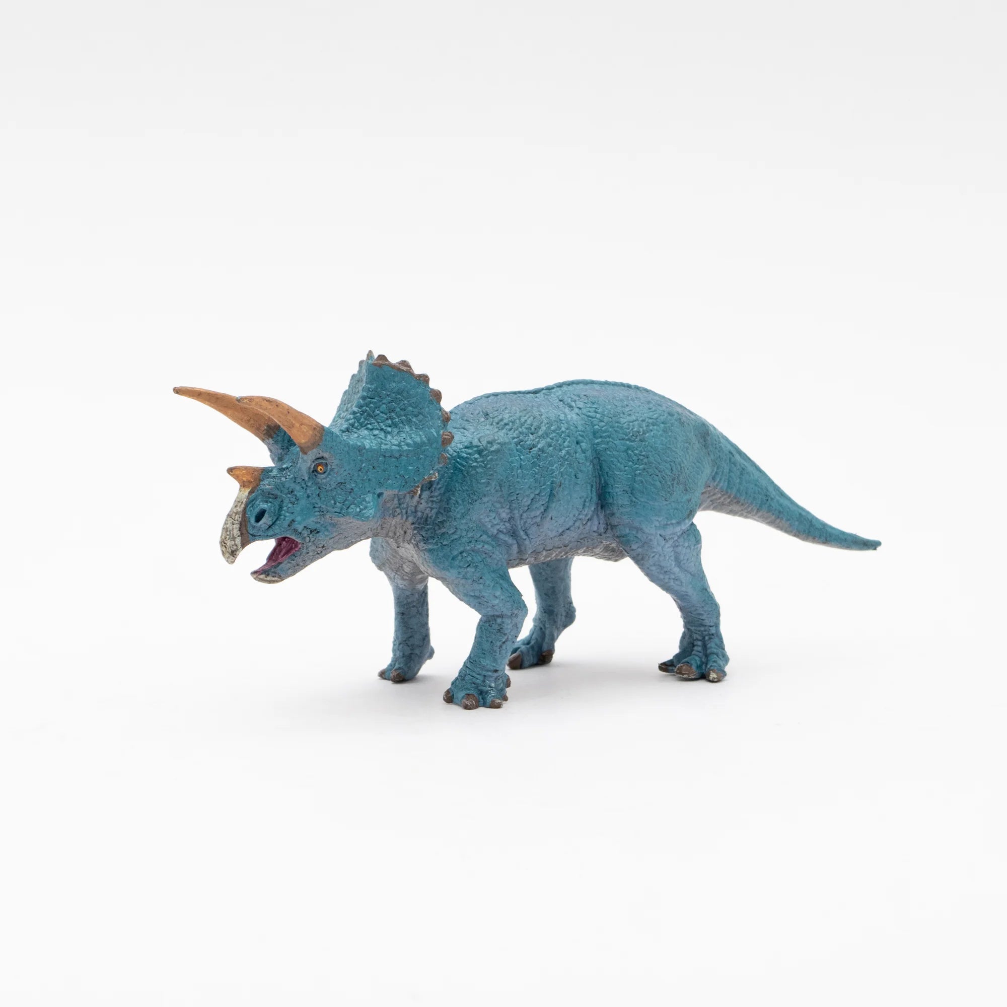 Soft Model Triceratops