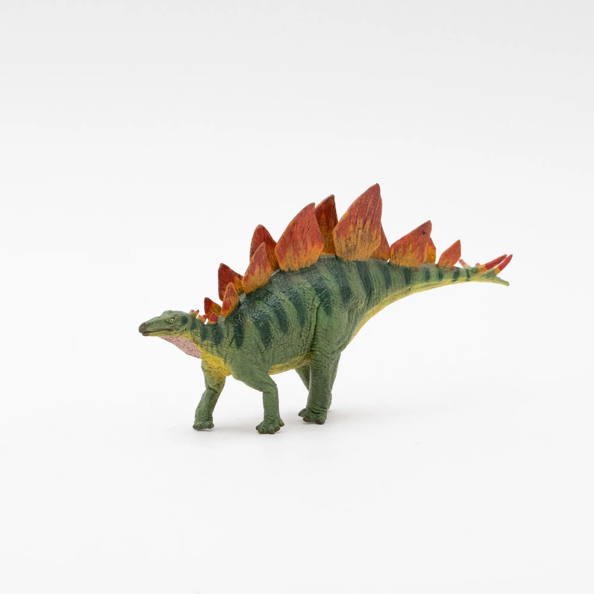 Soft Model Stegosaurus