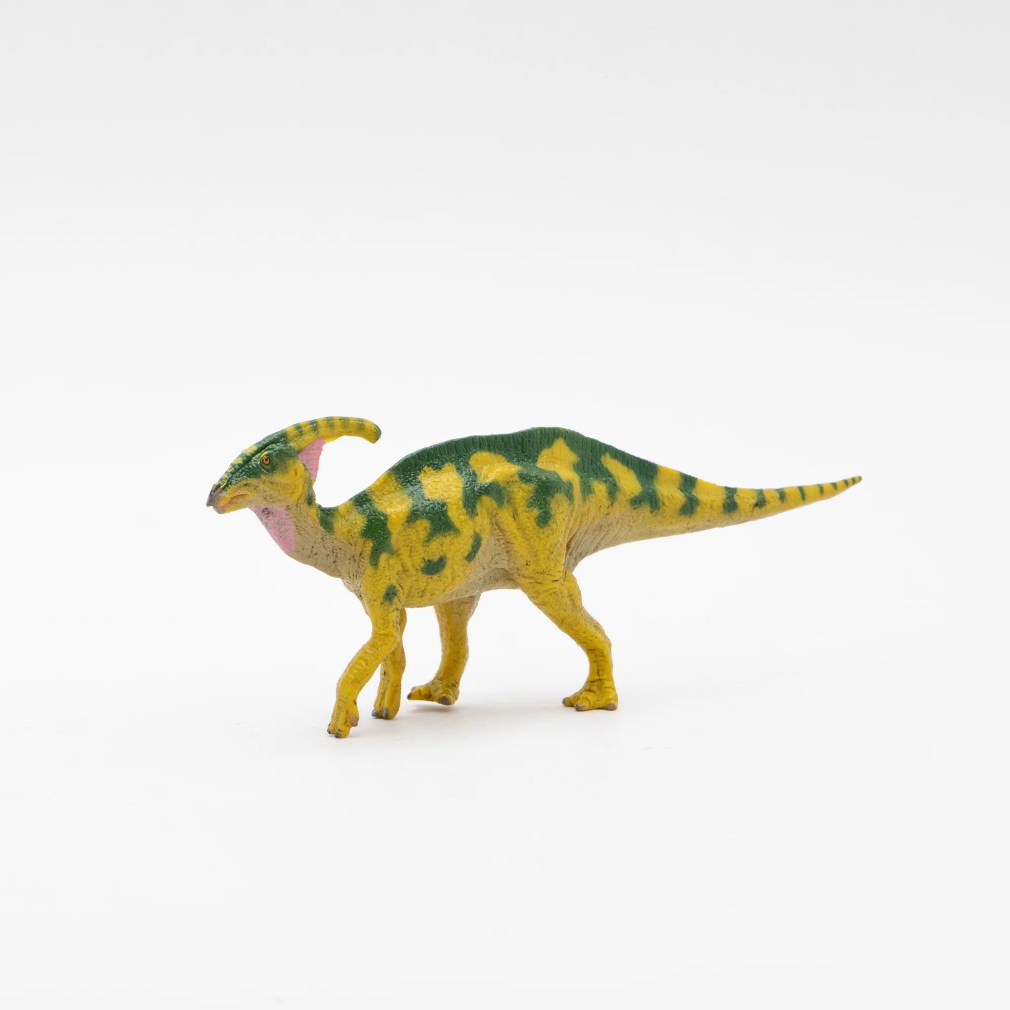 Soft Model Parasaurolophus