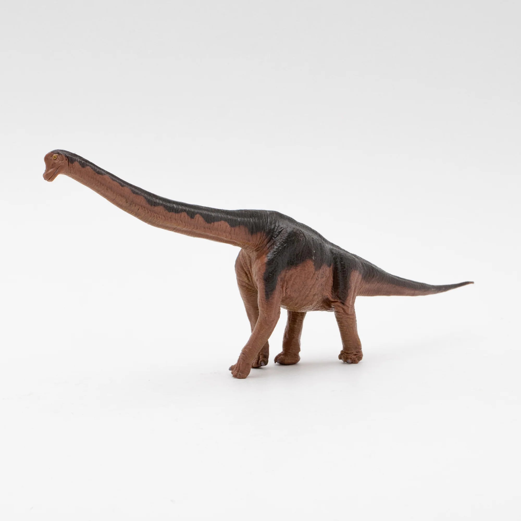 Soft Model Brachiosaurus