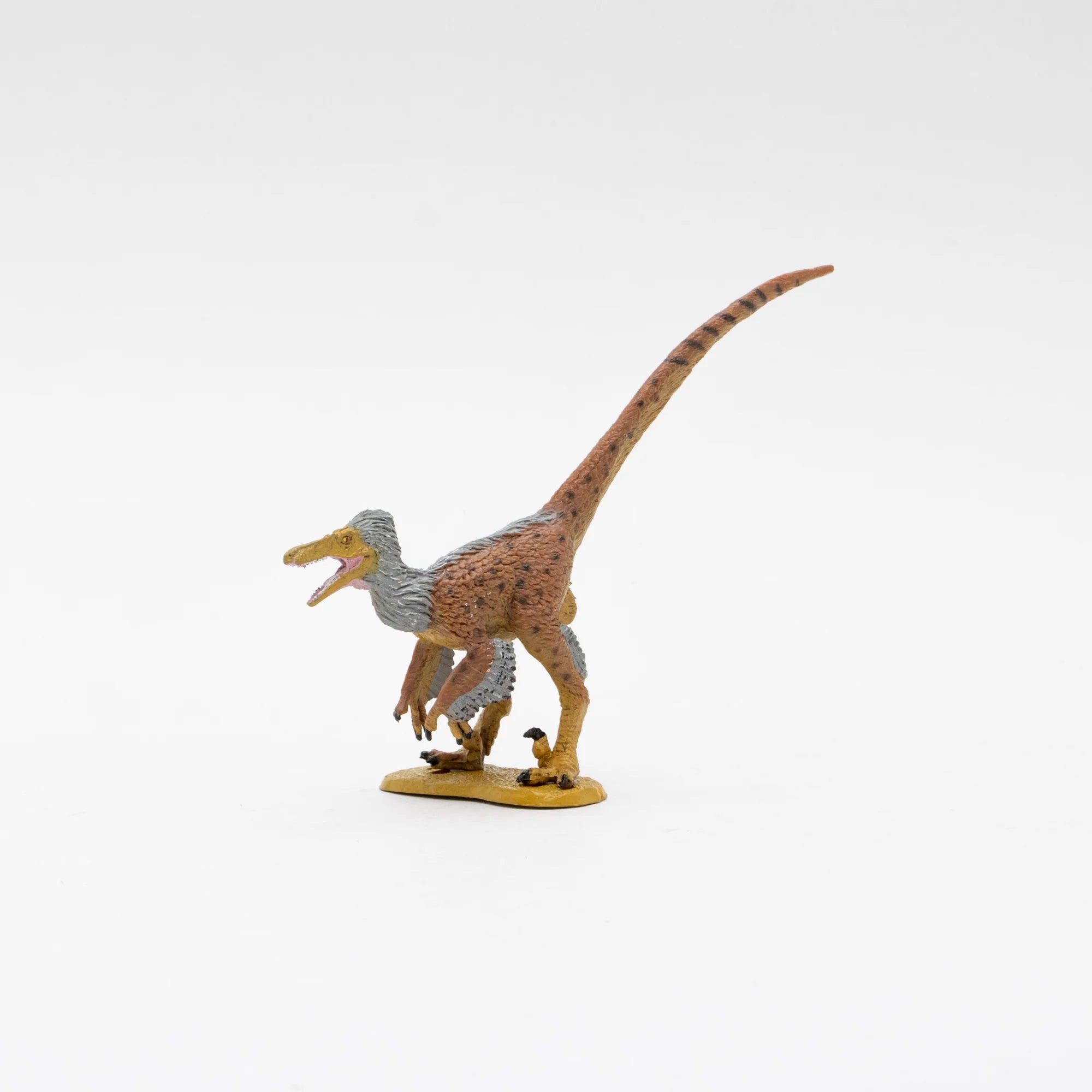 Soft Model Velociraptor