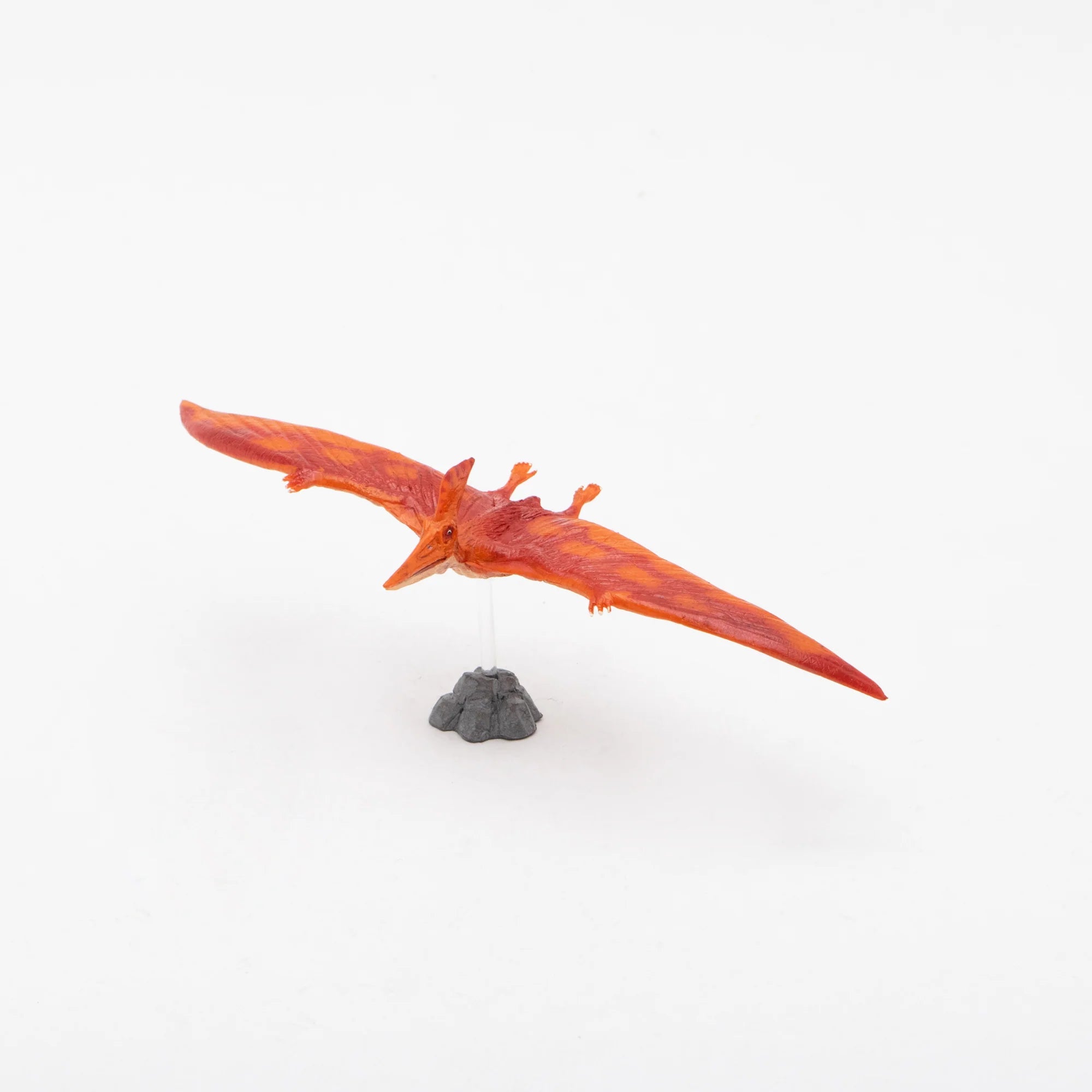 Soft Model Pteranodon