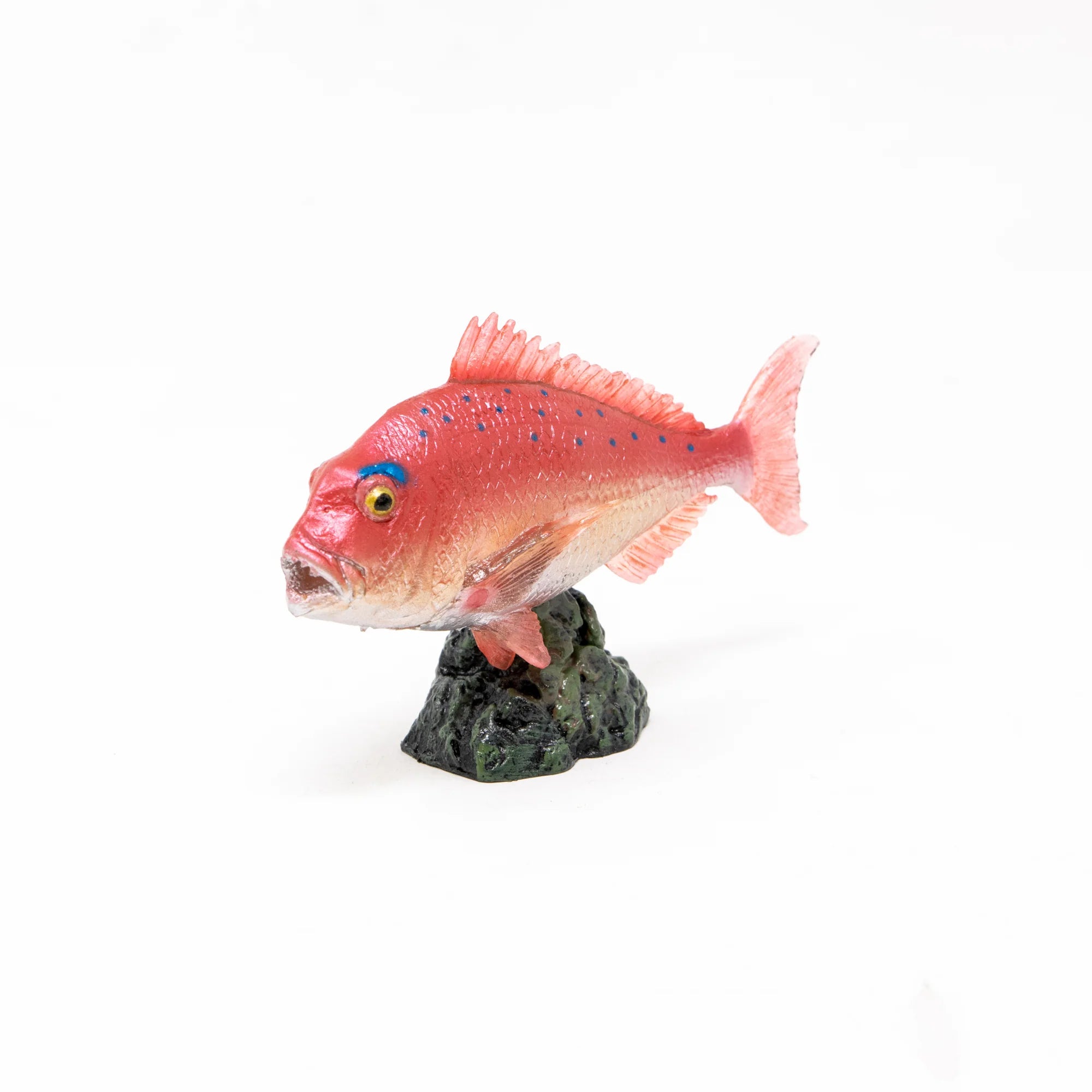 Mini Model Red Sea Bream