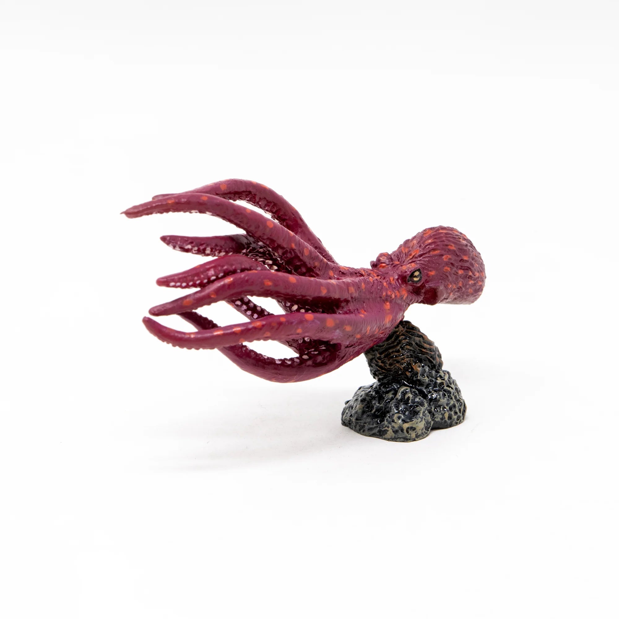 Mini Model North Pacific Giant Octopus