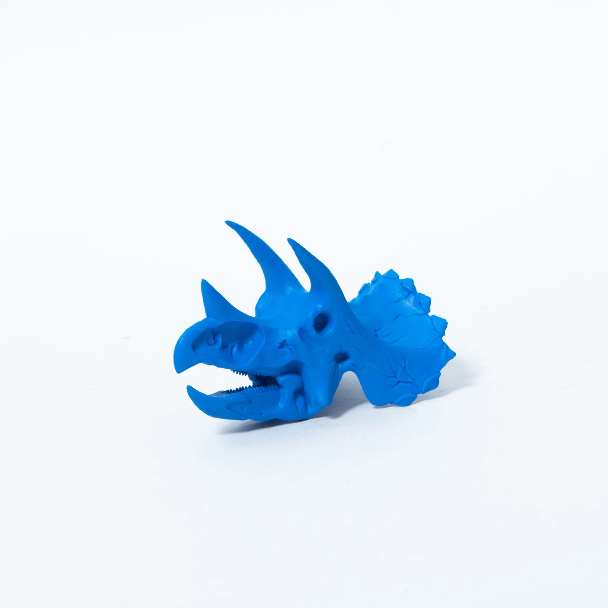 Skull-shaped Eraser Triceratops Blue